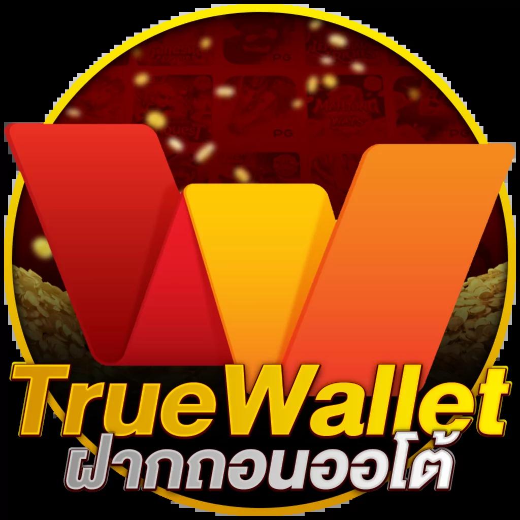 cash65 เว็บตรง สล็อต ฝากถอนออโต้ ไม่ผ่านเอเย่นต์ 2026